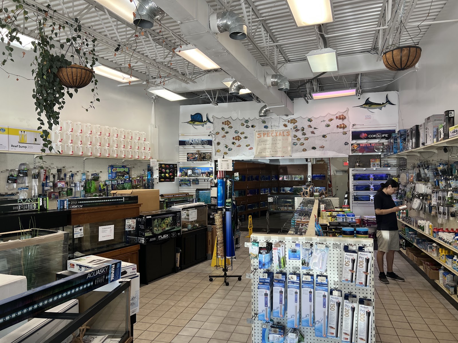 Centreville Aquarium