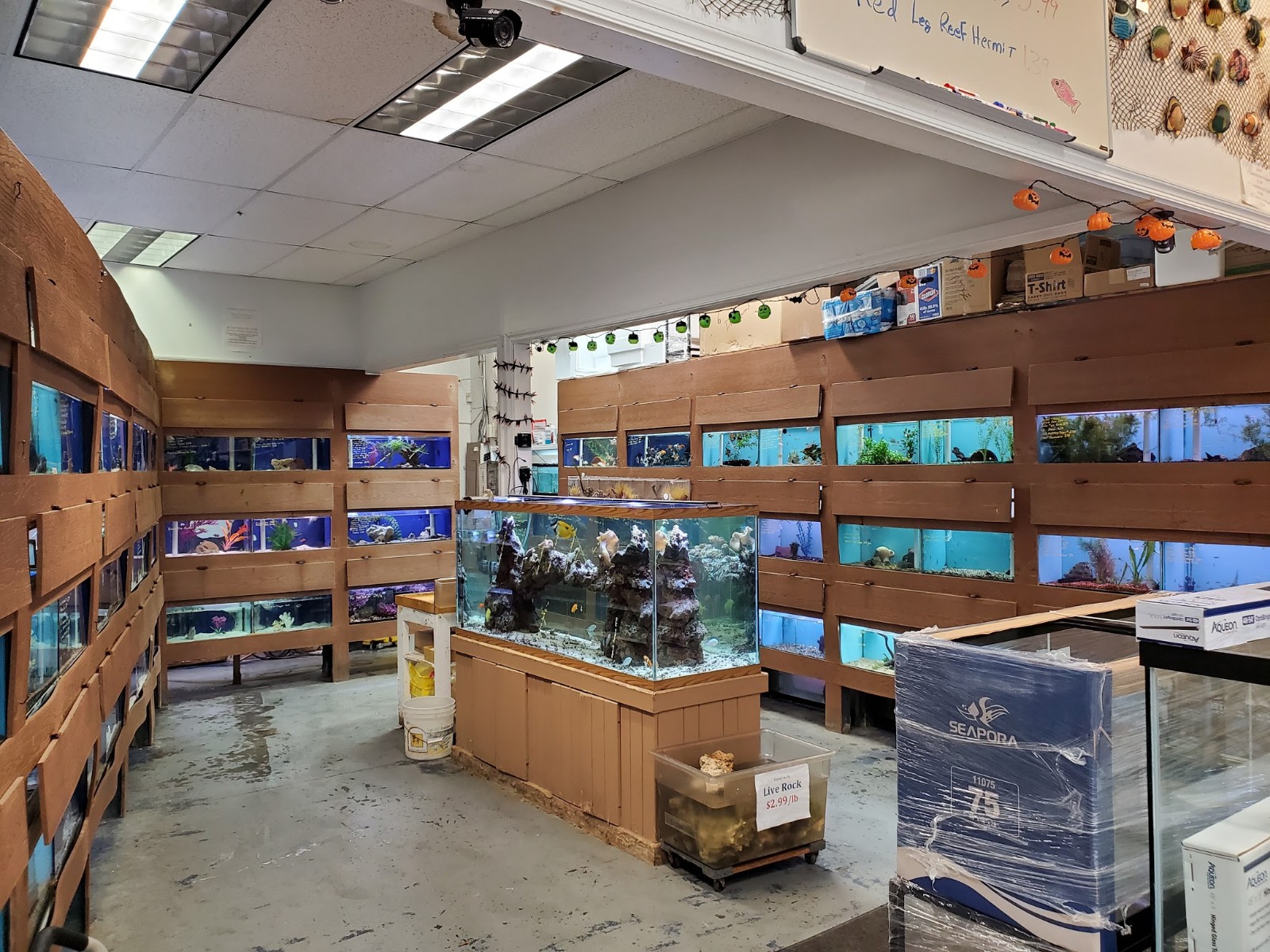 Centreville Aquarium