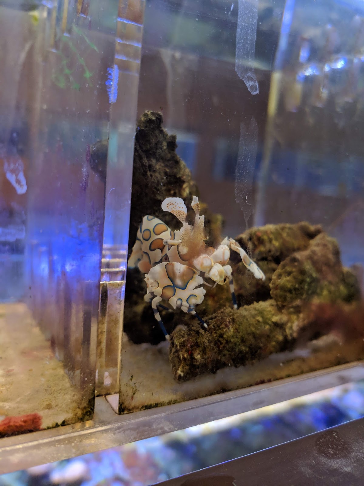 Centreville Aquarium