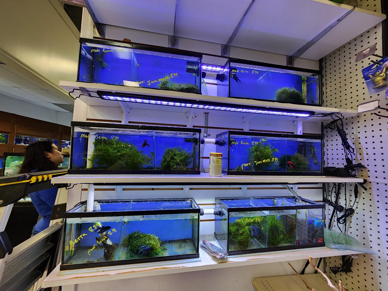 Centreville Aquarium