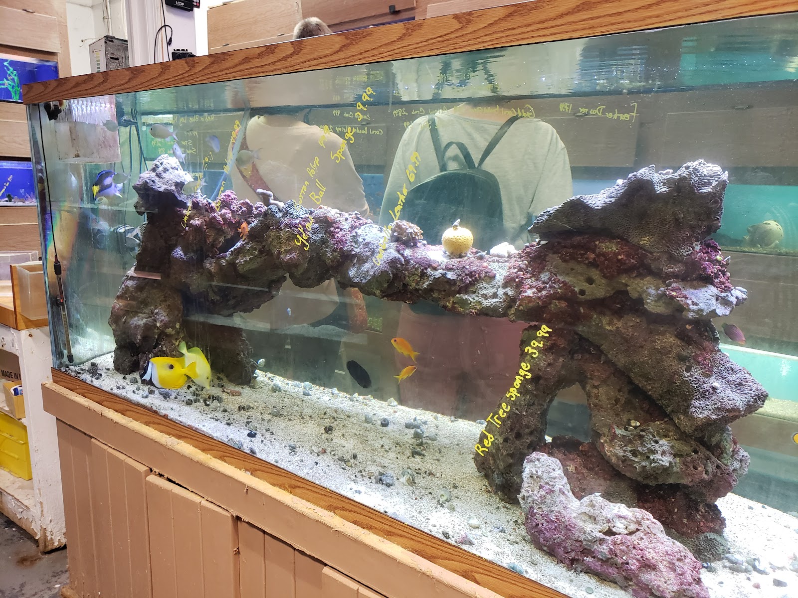 Centreville Aquarium