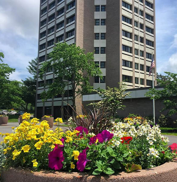 The Wesley Community
