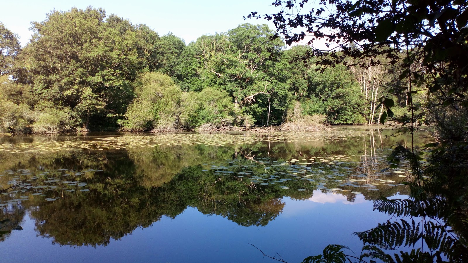 Résidence CAP WEST "Treillières"