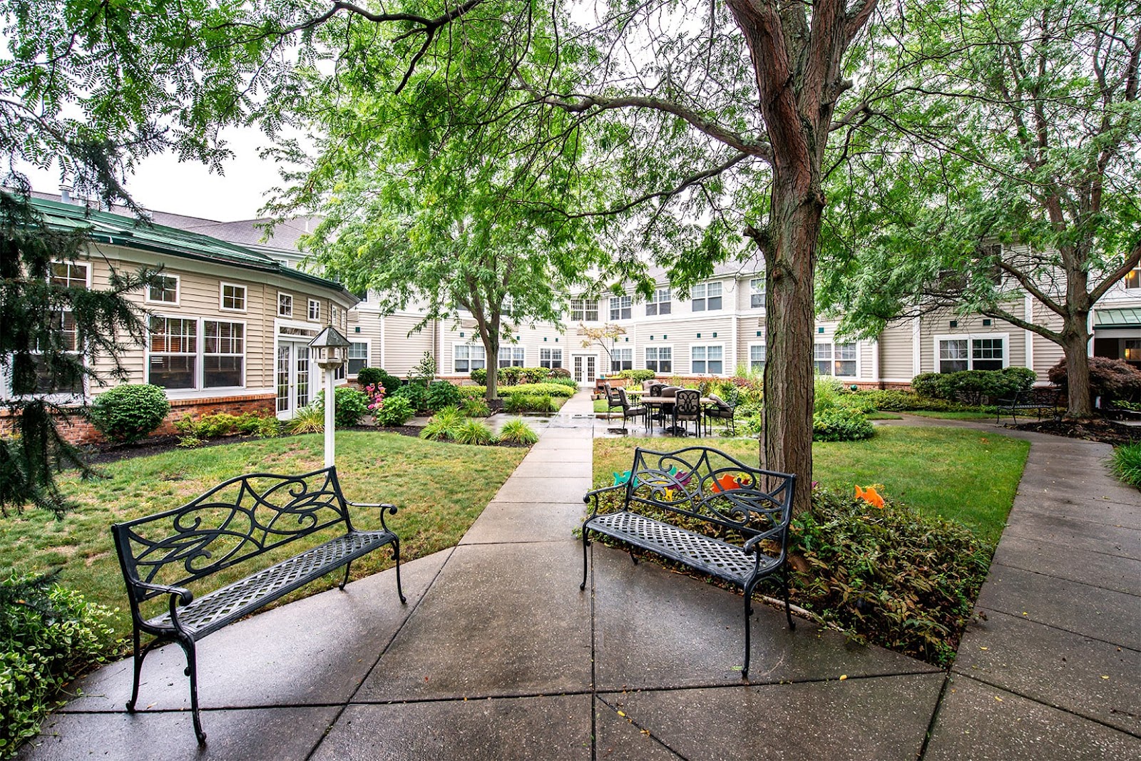Westlake Woods by New Perspective