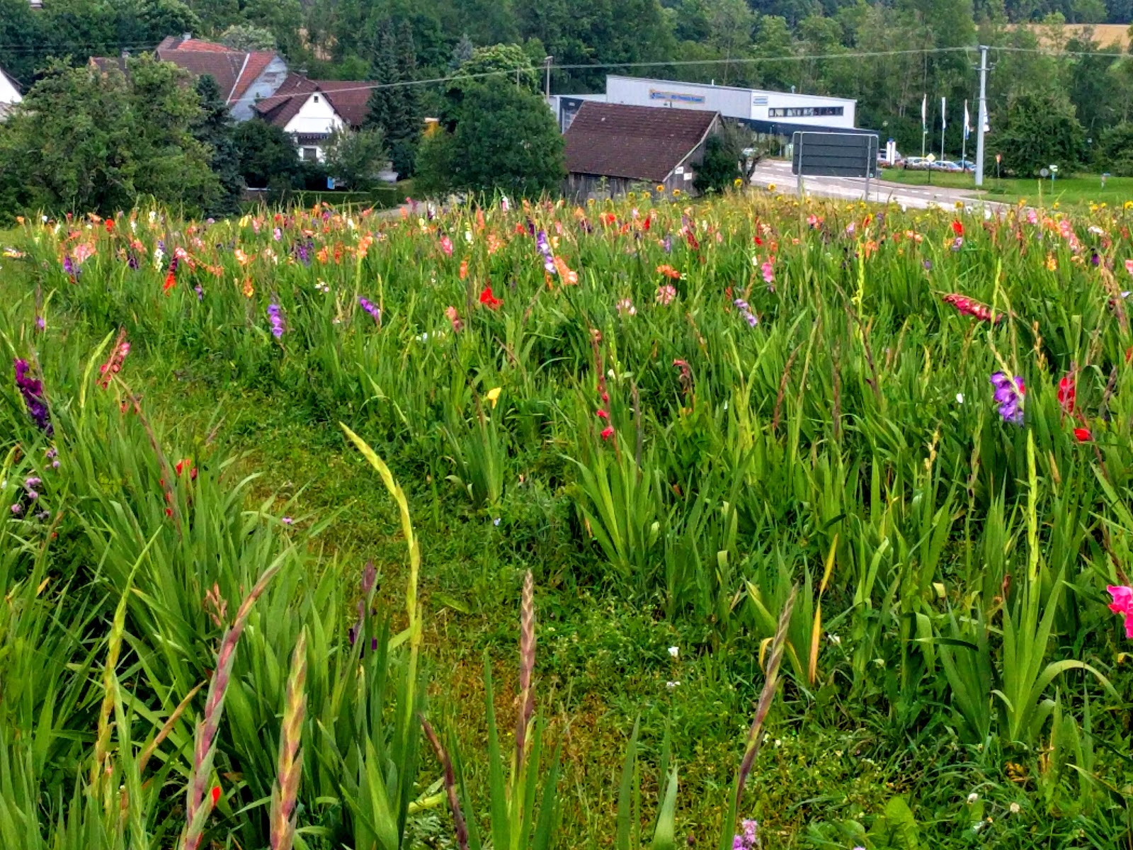 Jugendhilfeverbund Kinderheim Rodt, BruderhausDiakonie