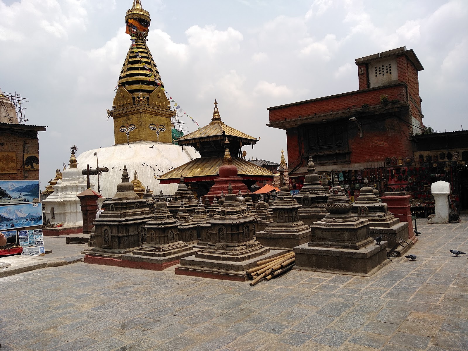 National Aged & Community Care Nepal