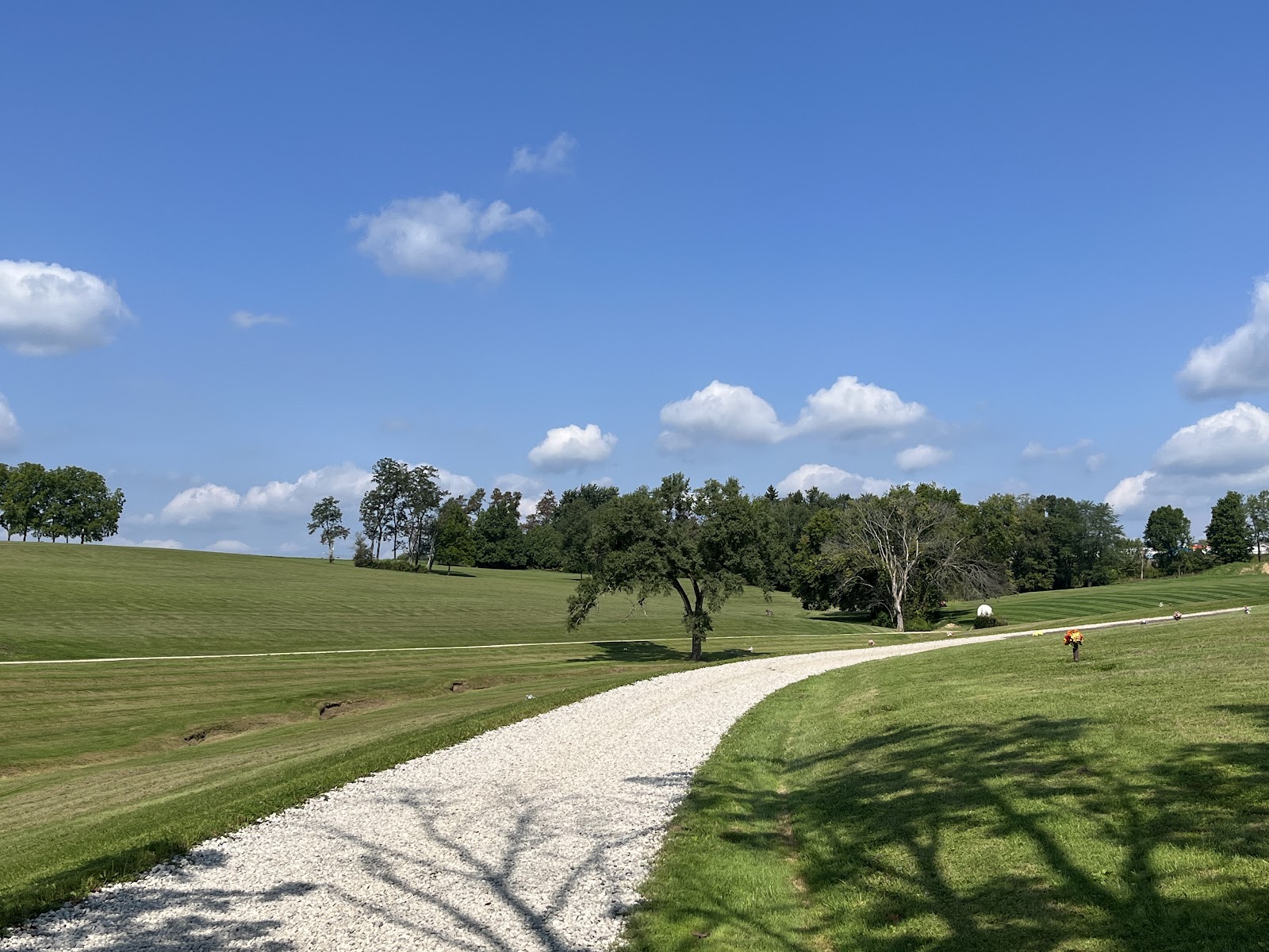 Briarwood Place