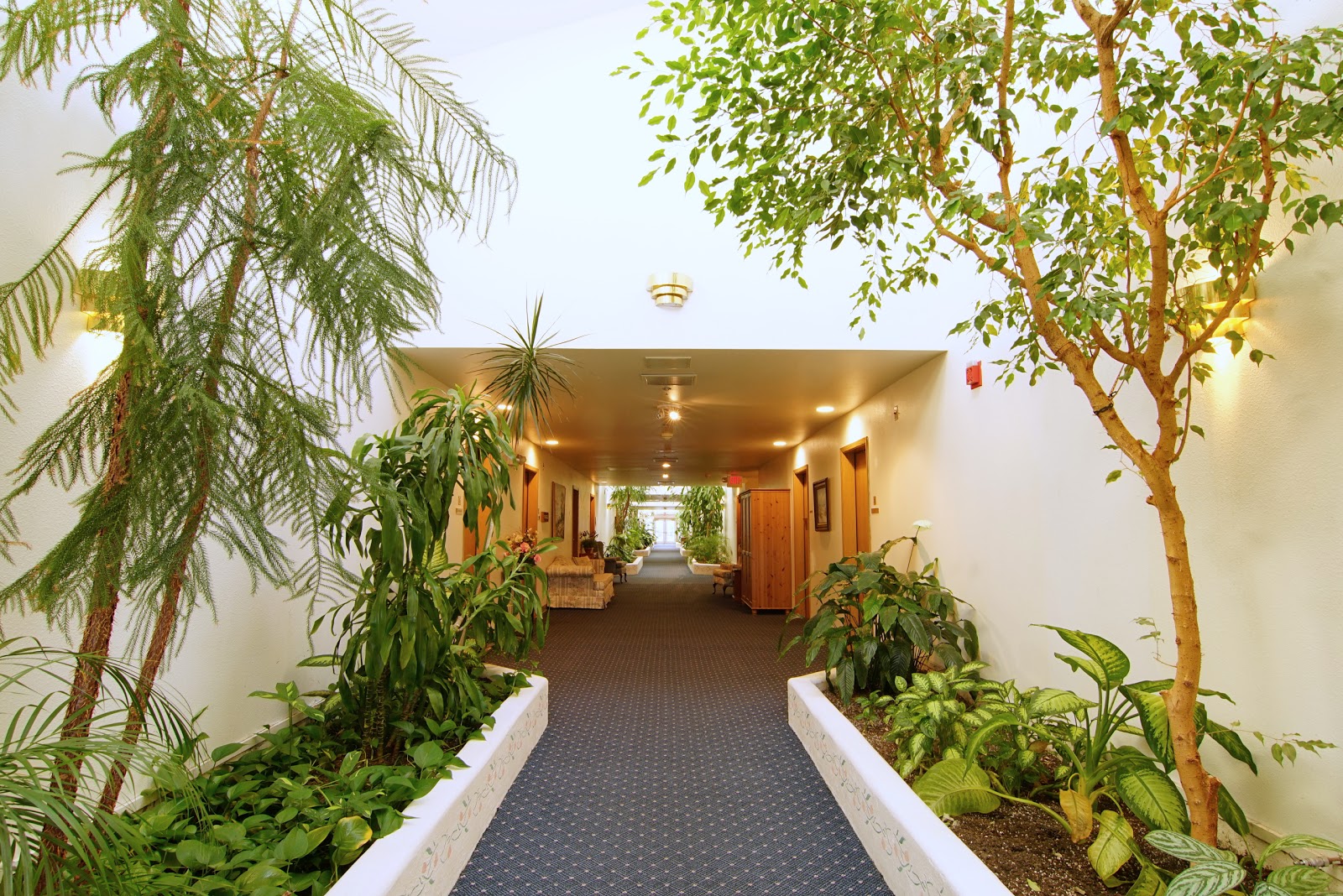 Forest Grove Beehive Assisted Living