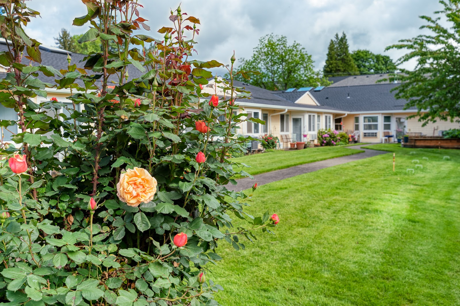 Forest Grove Beehive Assisted Living