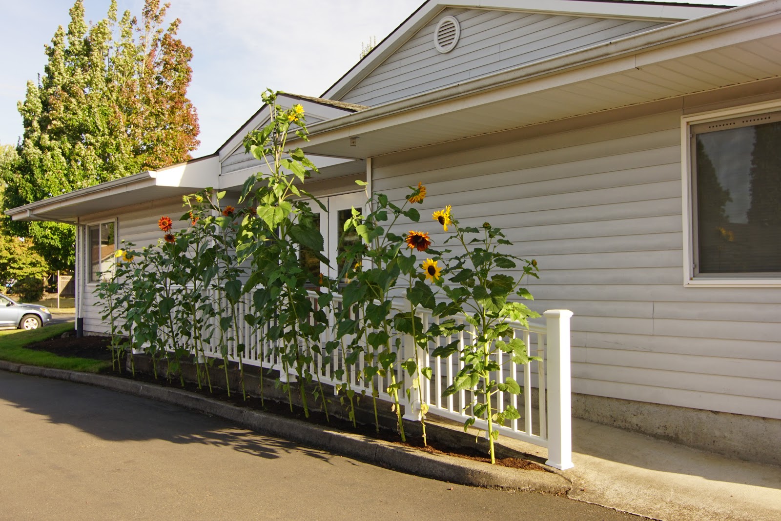 Forest Grove Beehive Assisted Living