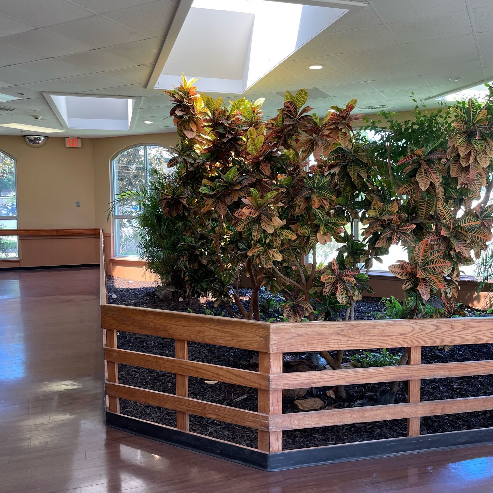 Meadowview Health & Rehab Center