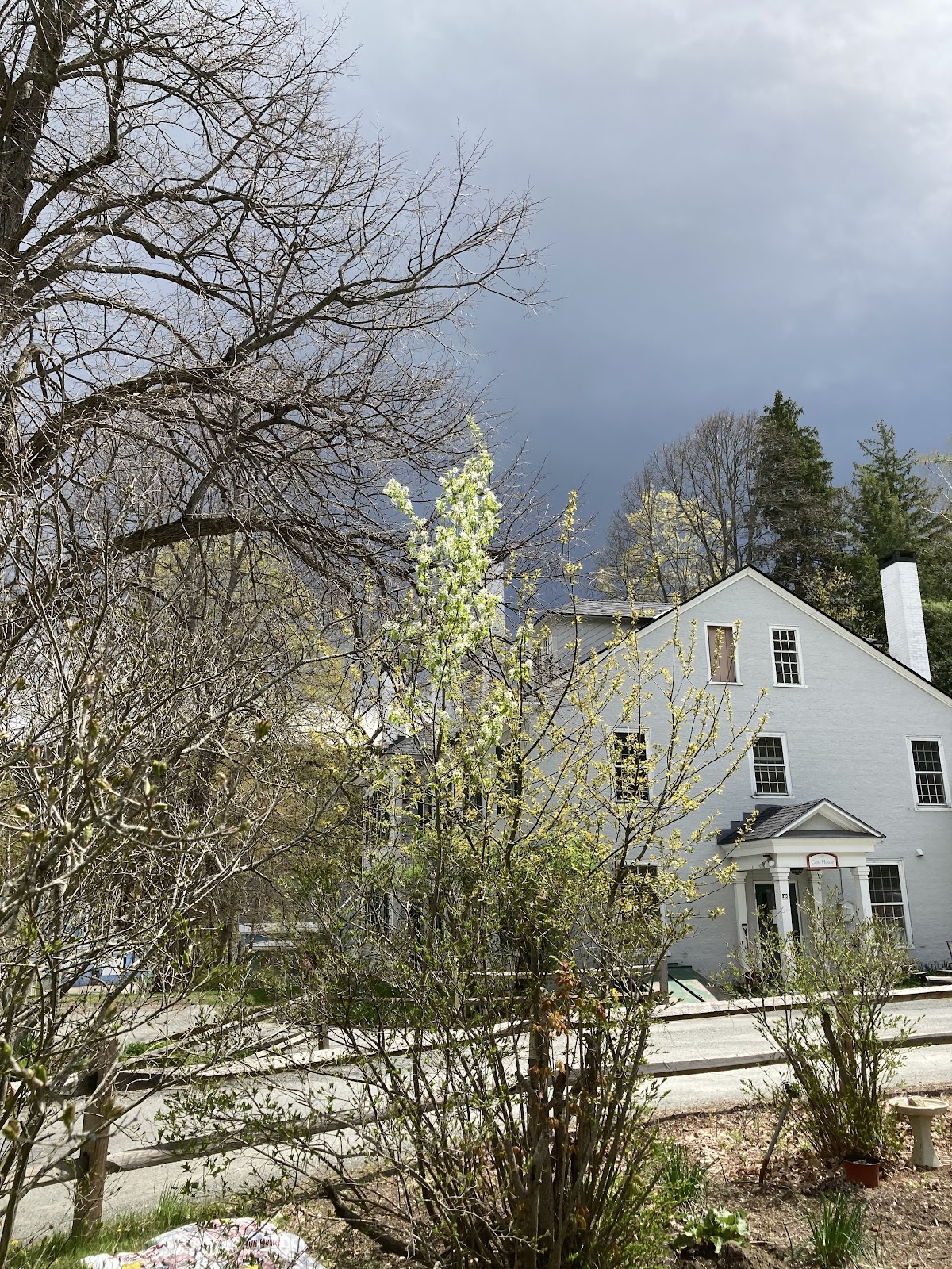 Historic Homes of Runnemede