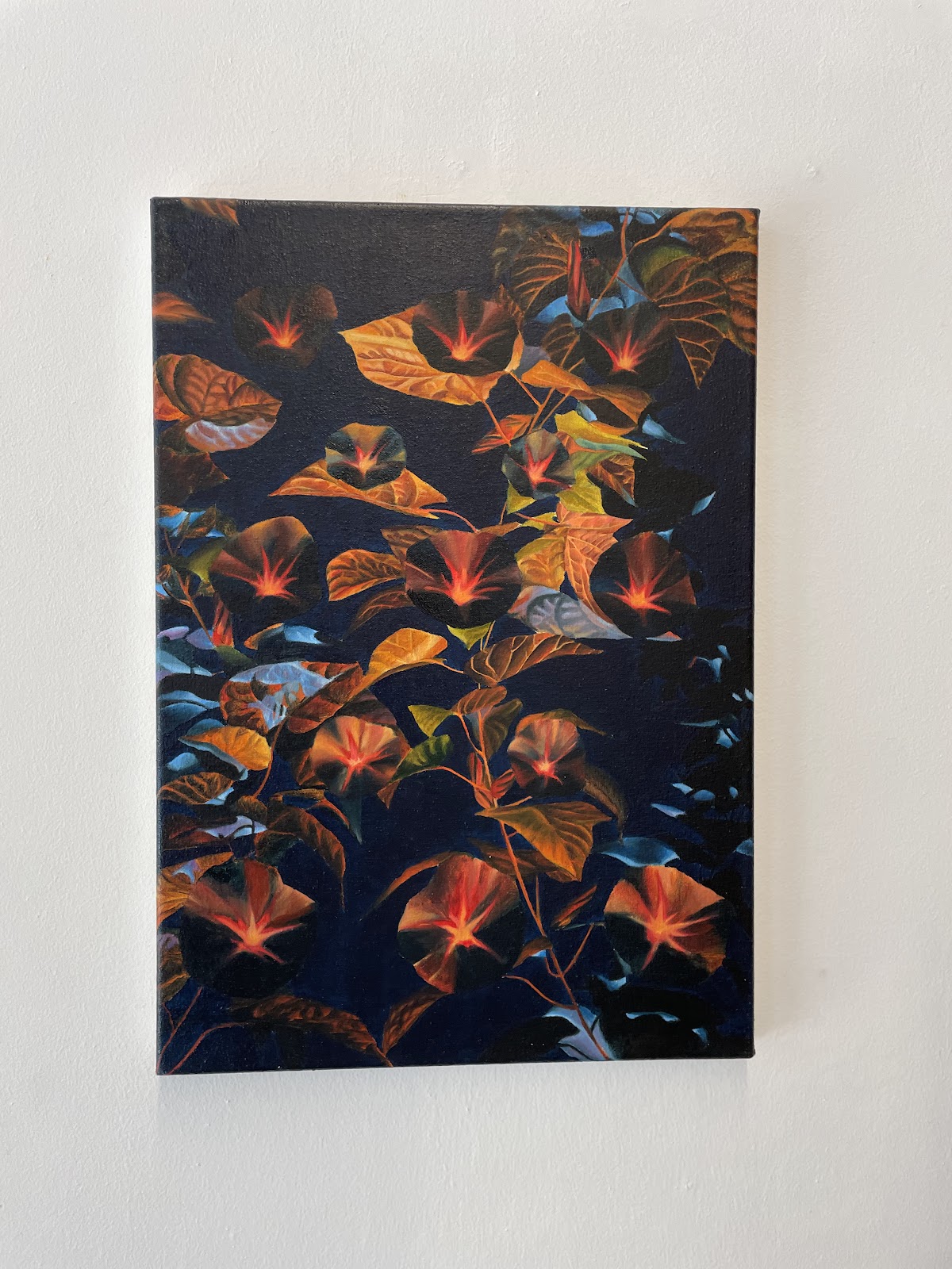 Domitys Emerald Haven