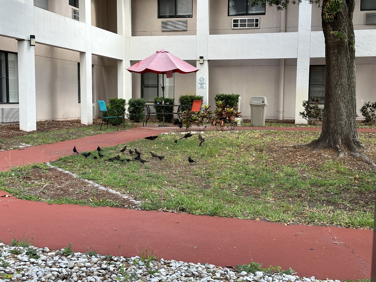 Indigo Manor Nursing and Rehabilitation - Bedrock Healthcare