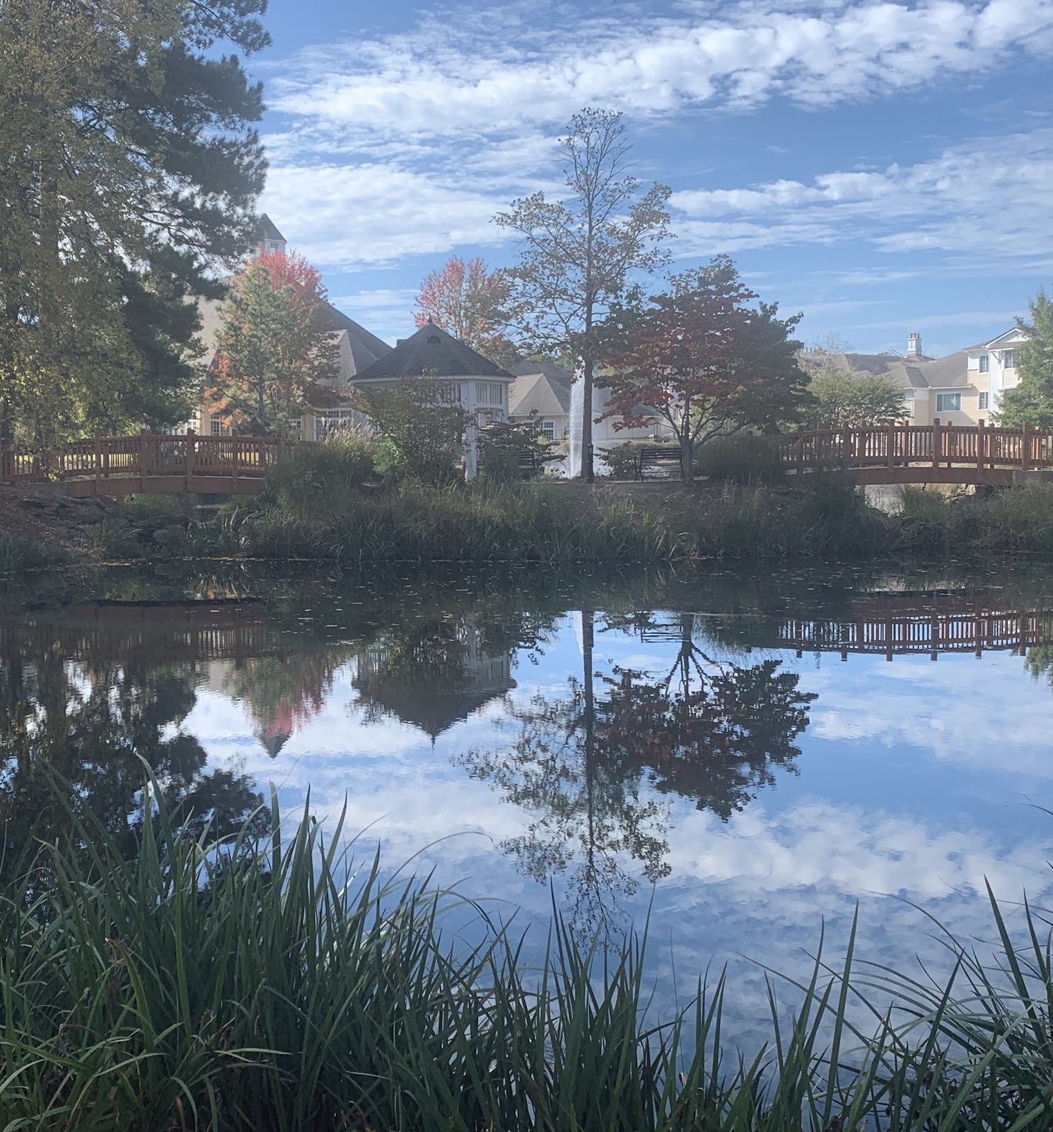 St. Joseph of the Pines