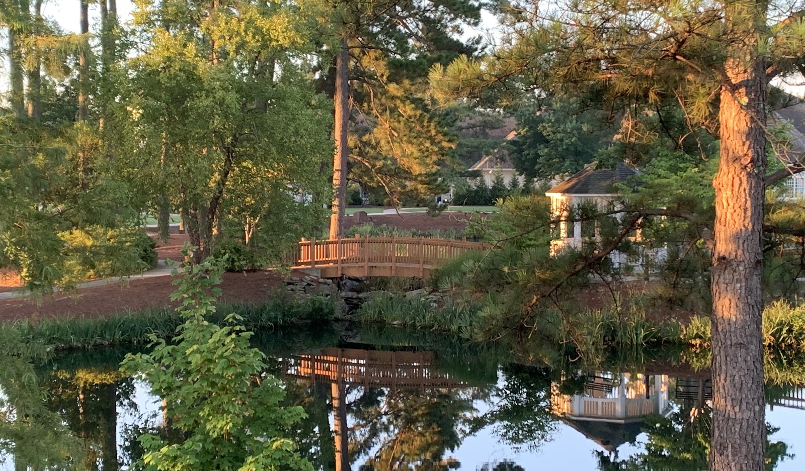 St. Joseph of the Pines