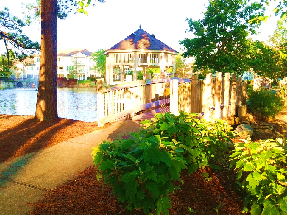 St. Joseph of the Pines