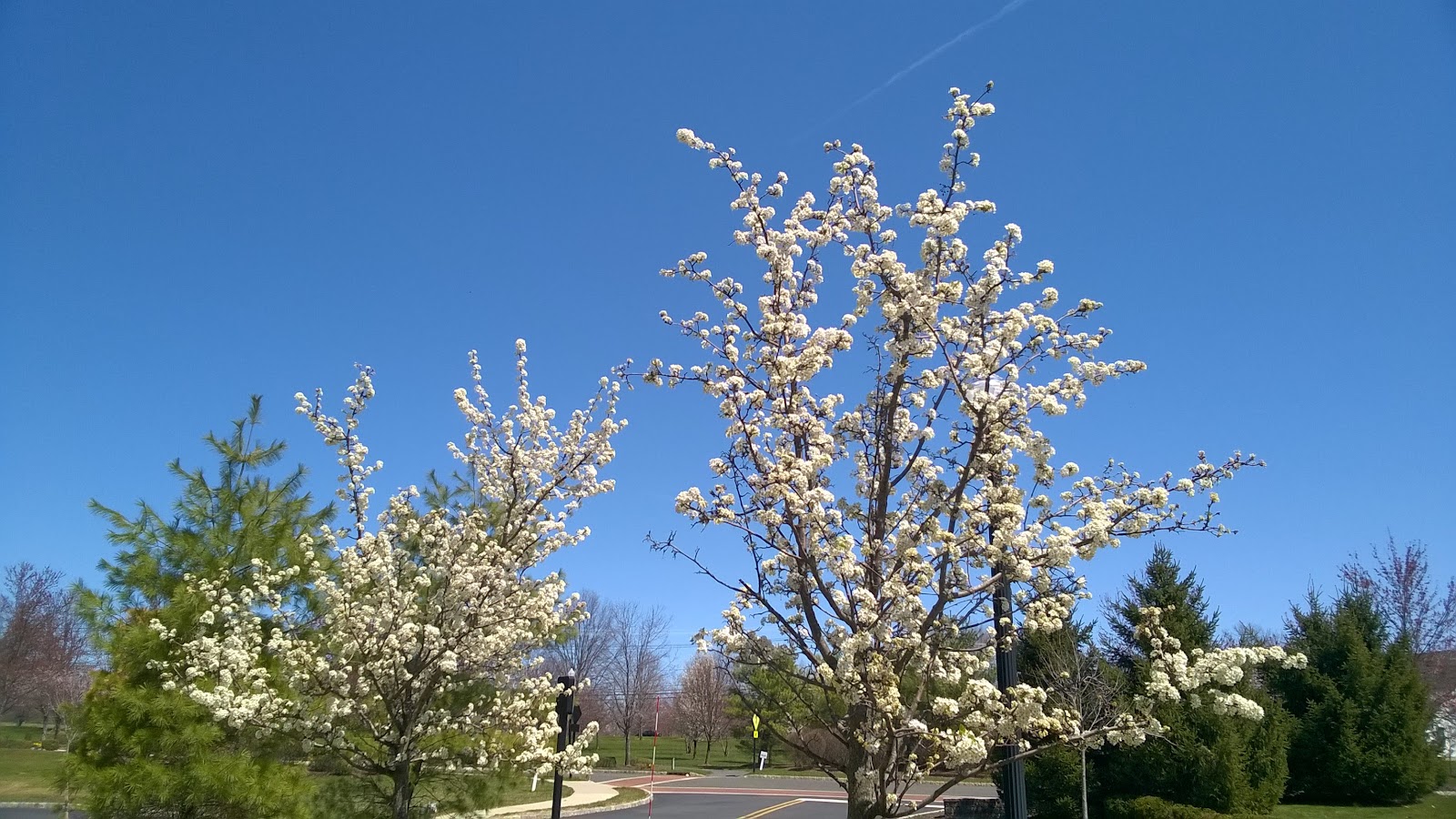 Highlands At Cranbury Brook