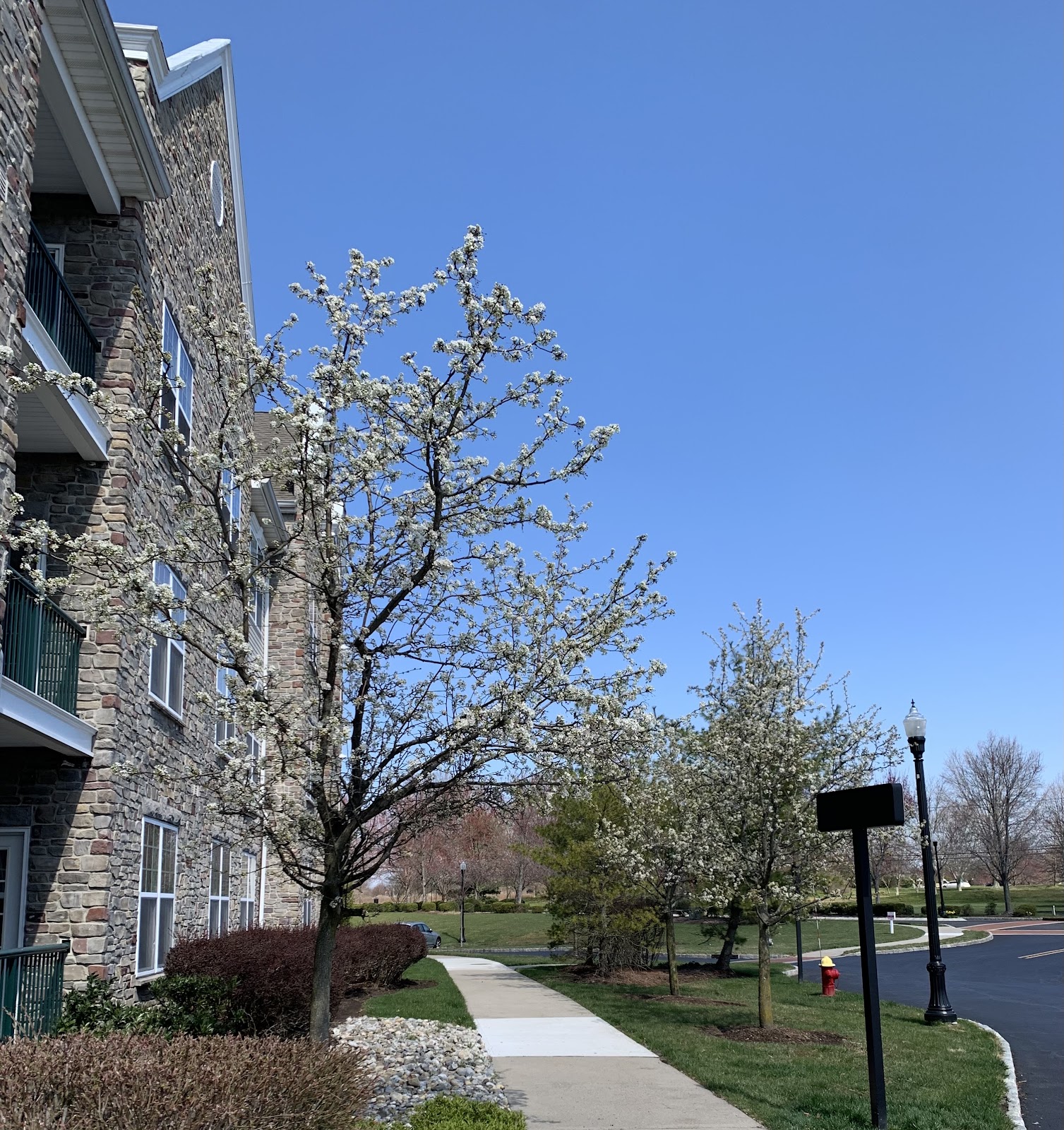 Highlands At Cranbury Brook