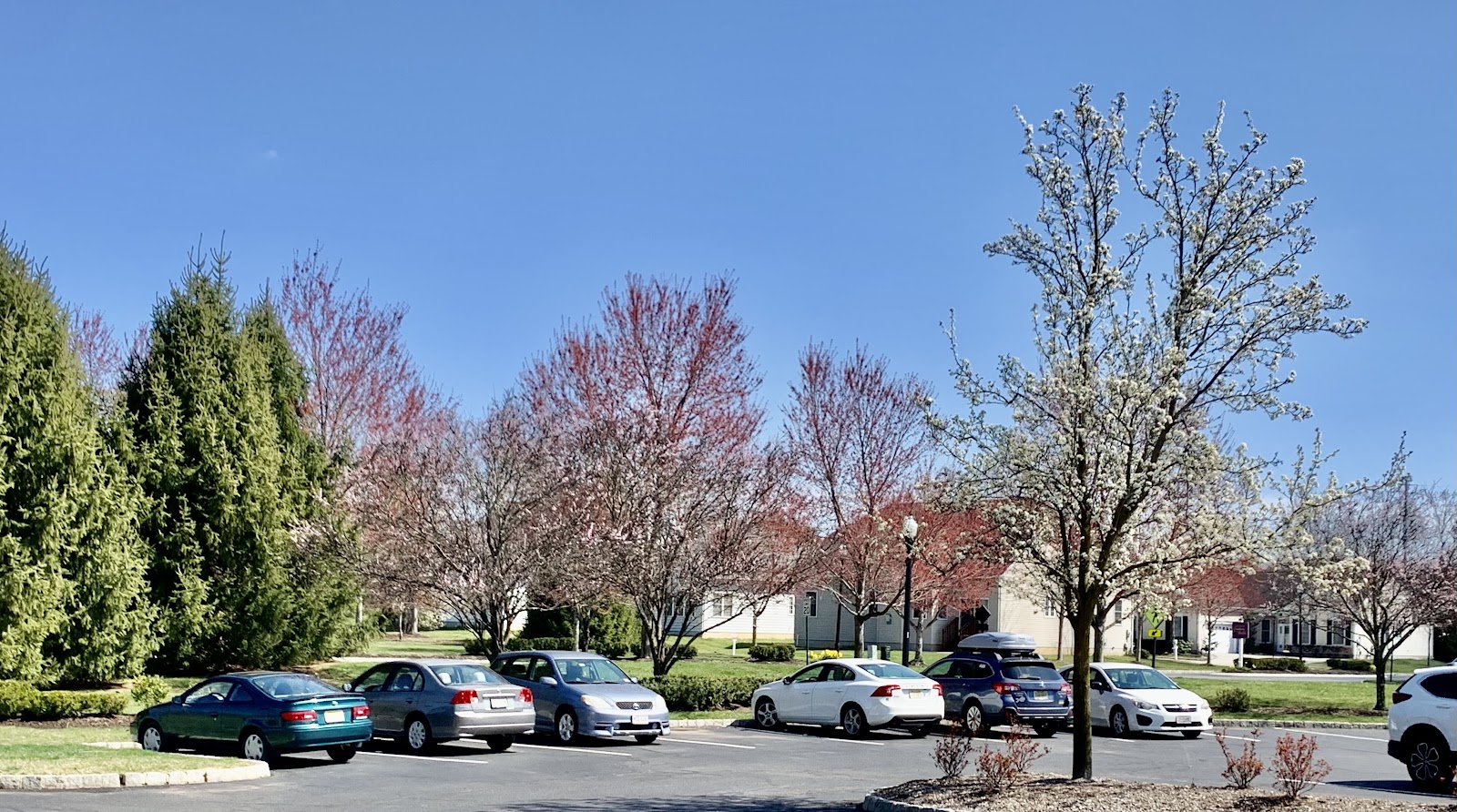 Highlands At Cranbury Brook