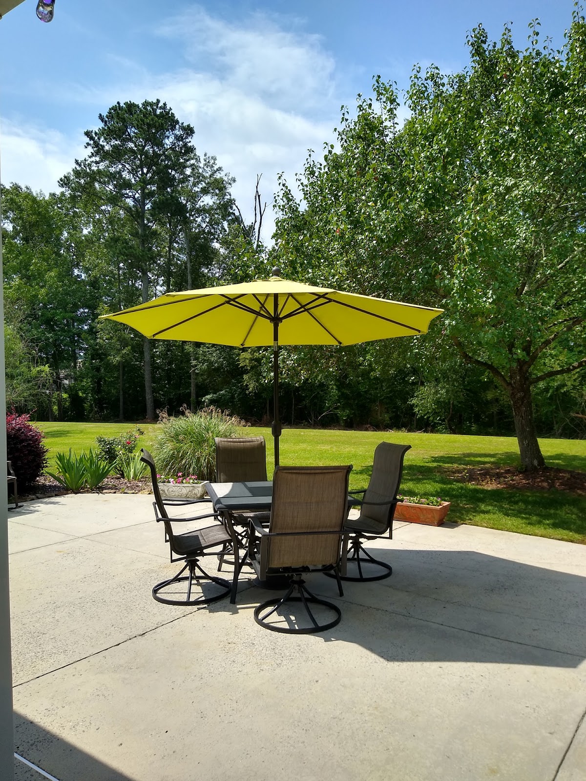 Branchwater Village LLC