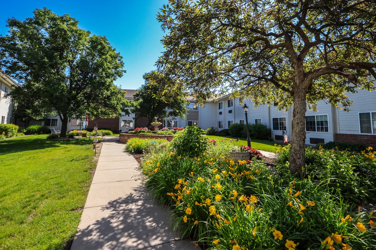 Bailey Pointe at Miracle Hills