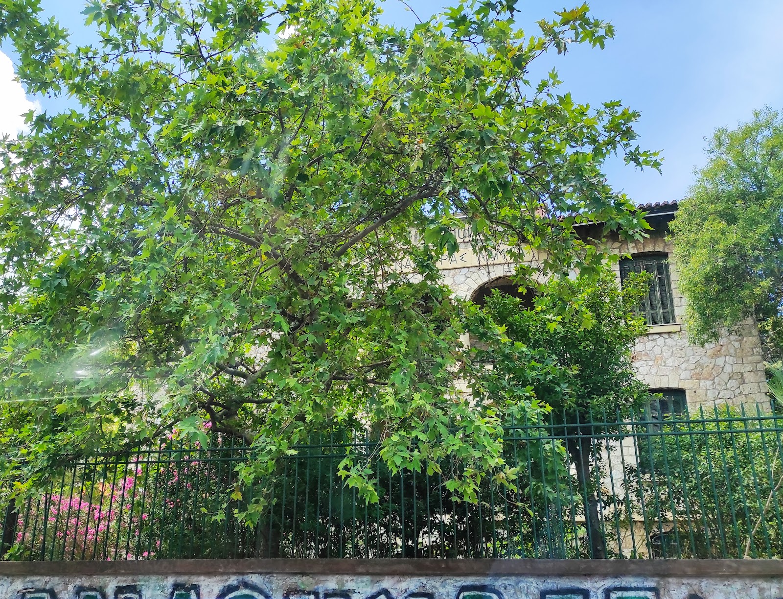 Athens Nursing Home