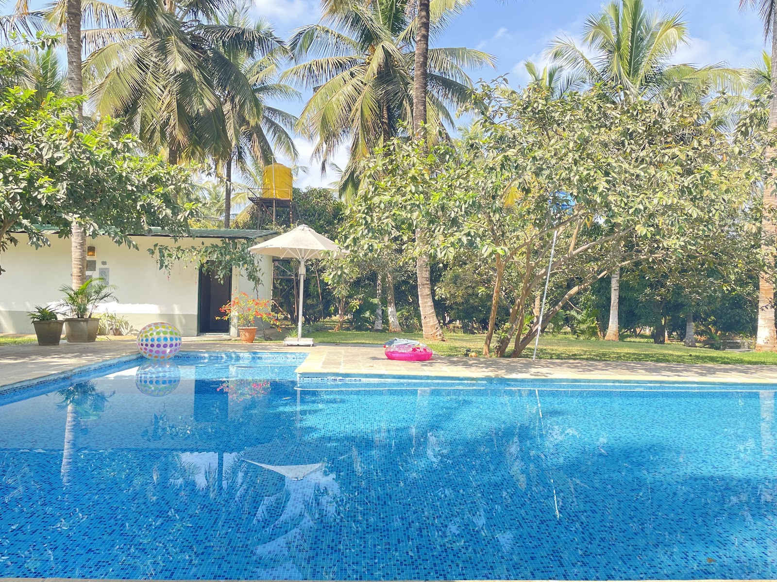 The Mangifera, Bandipur