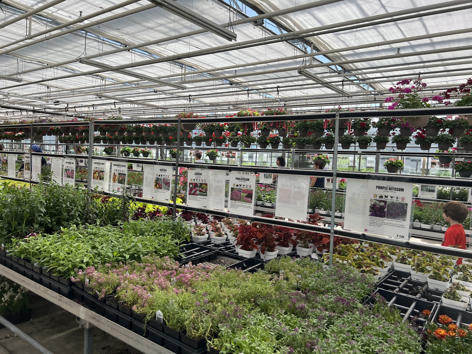 Valley View Farms