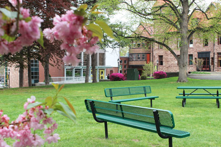 Felician University