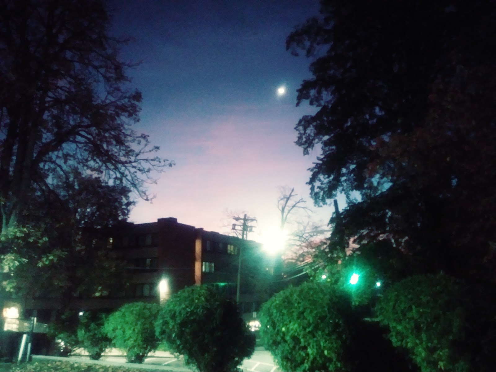 Felician University
