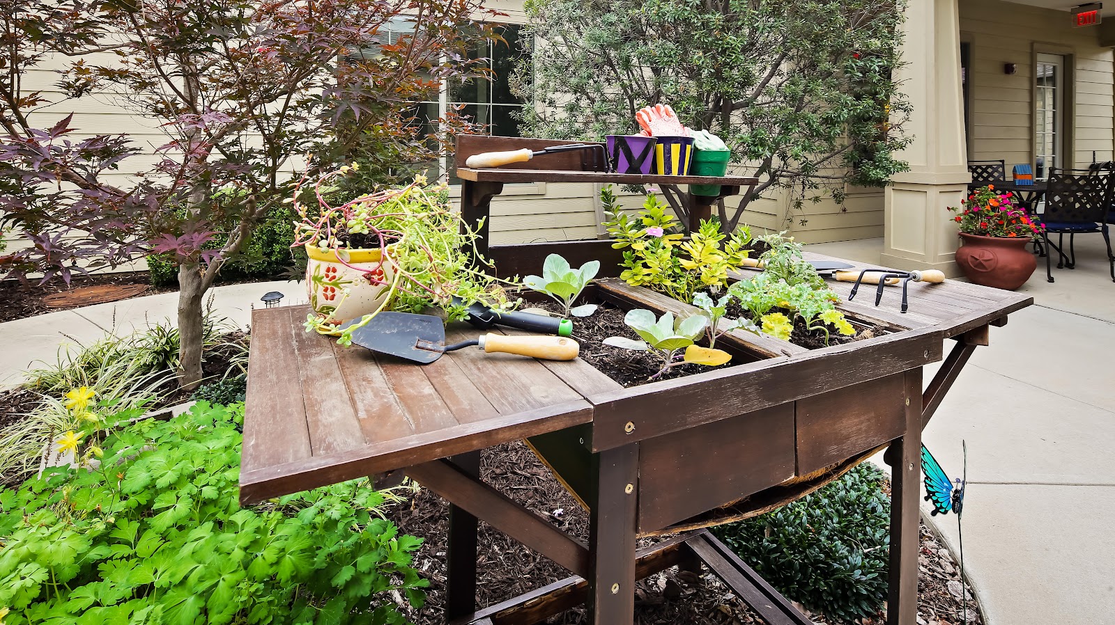 Willow Bend Assisted Living & Memory Care