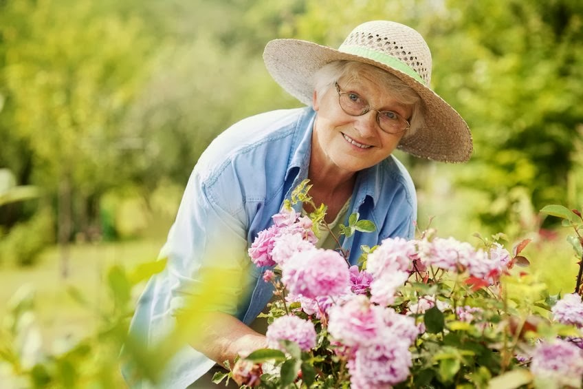 Faribault Senior Living LLC