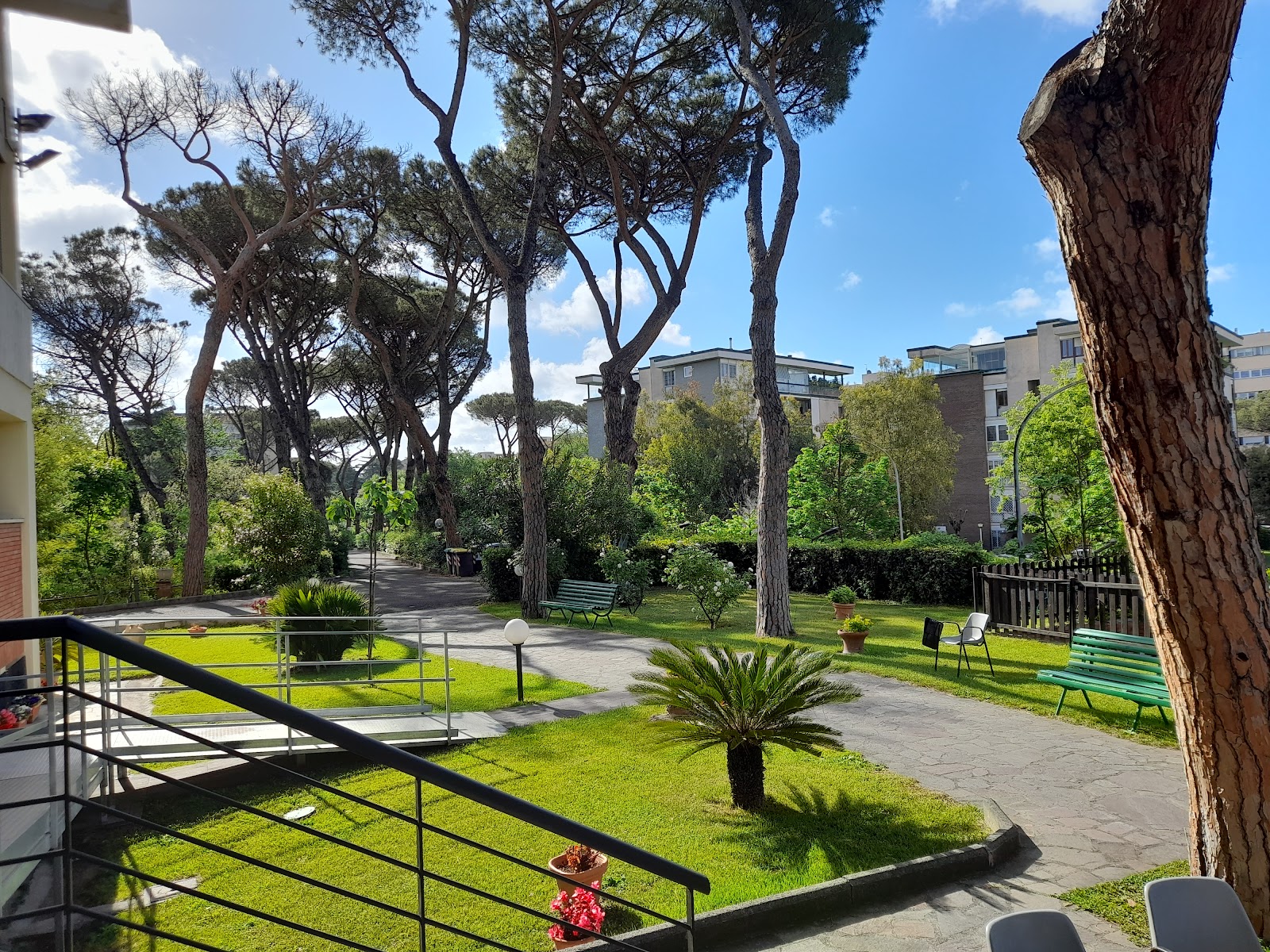 Casa Di Riposo Eur "SAN FRANCESCO DI PAOLA"