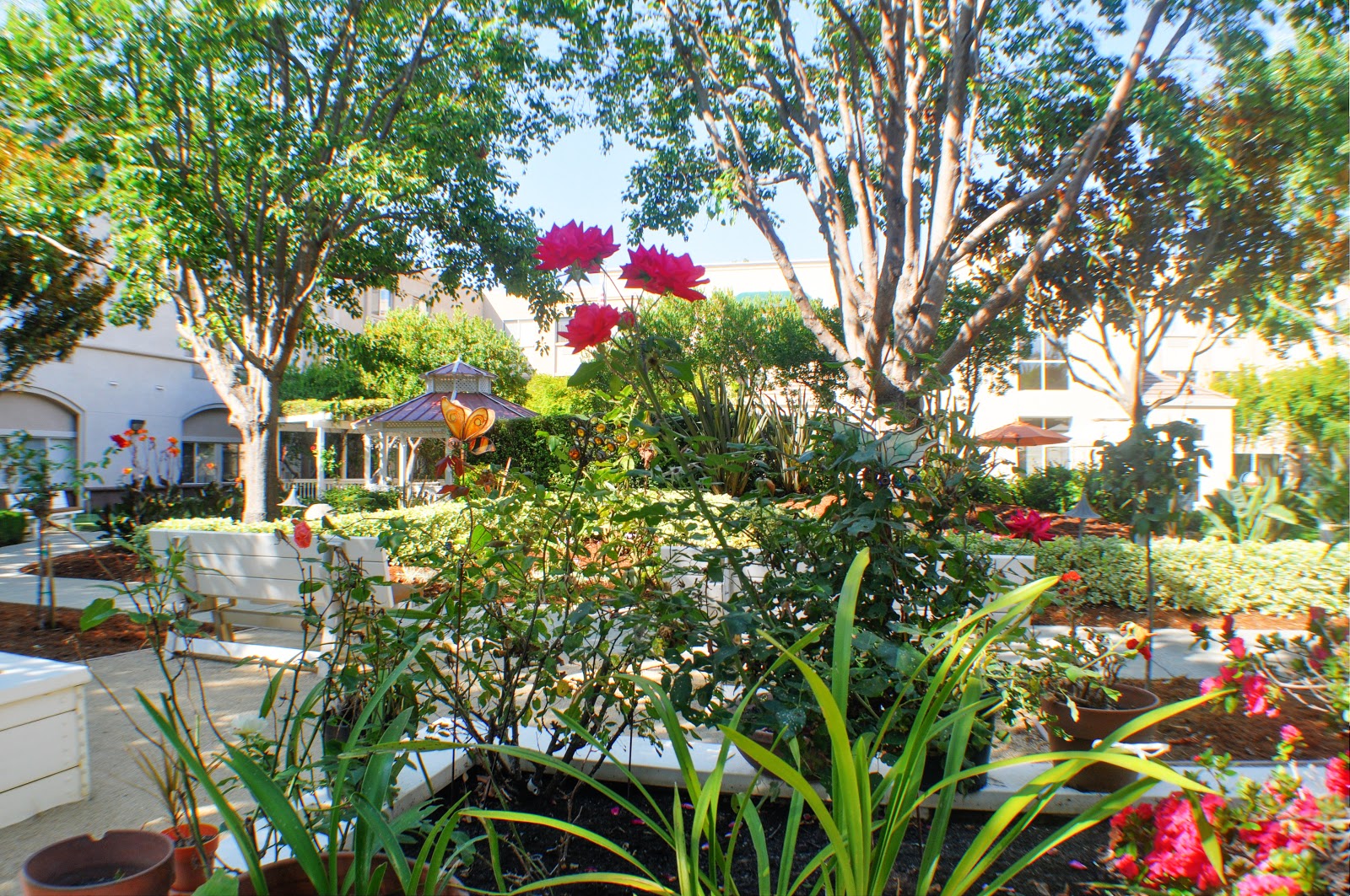 Carlton Senior Living San Leandro