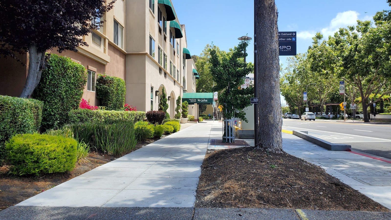Carlton Senior Living San Leandro