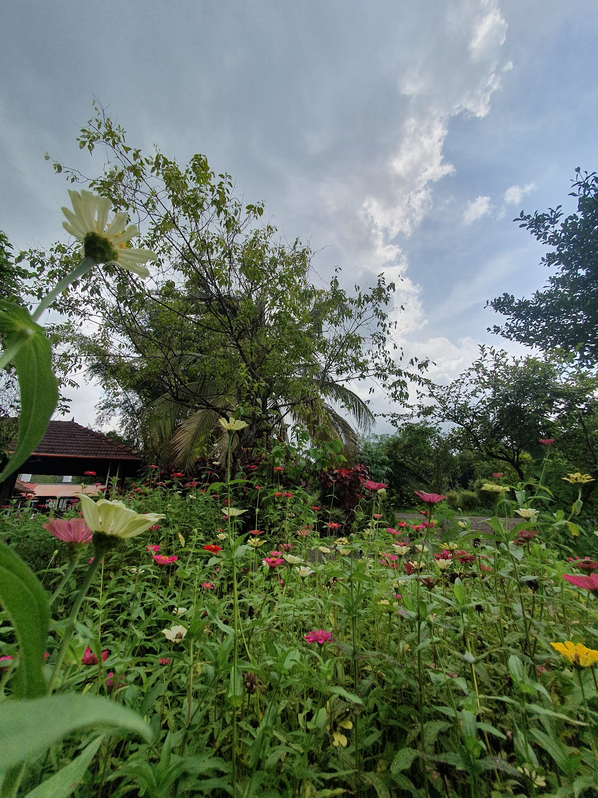 Vishranthi – the old age village.