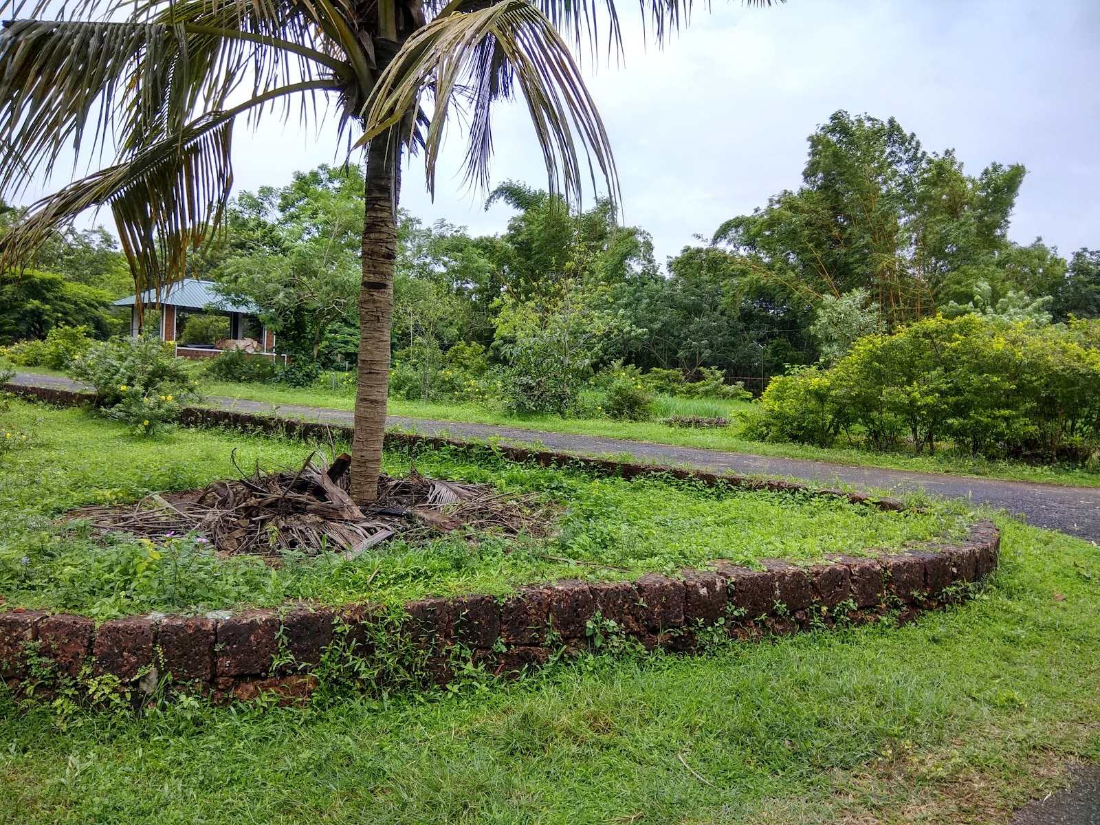 Vishranthi – the old age village.