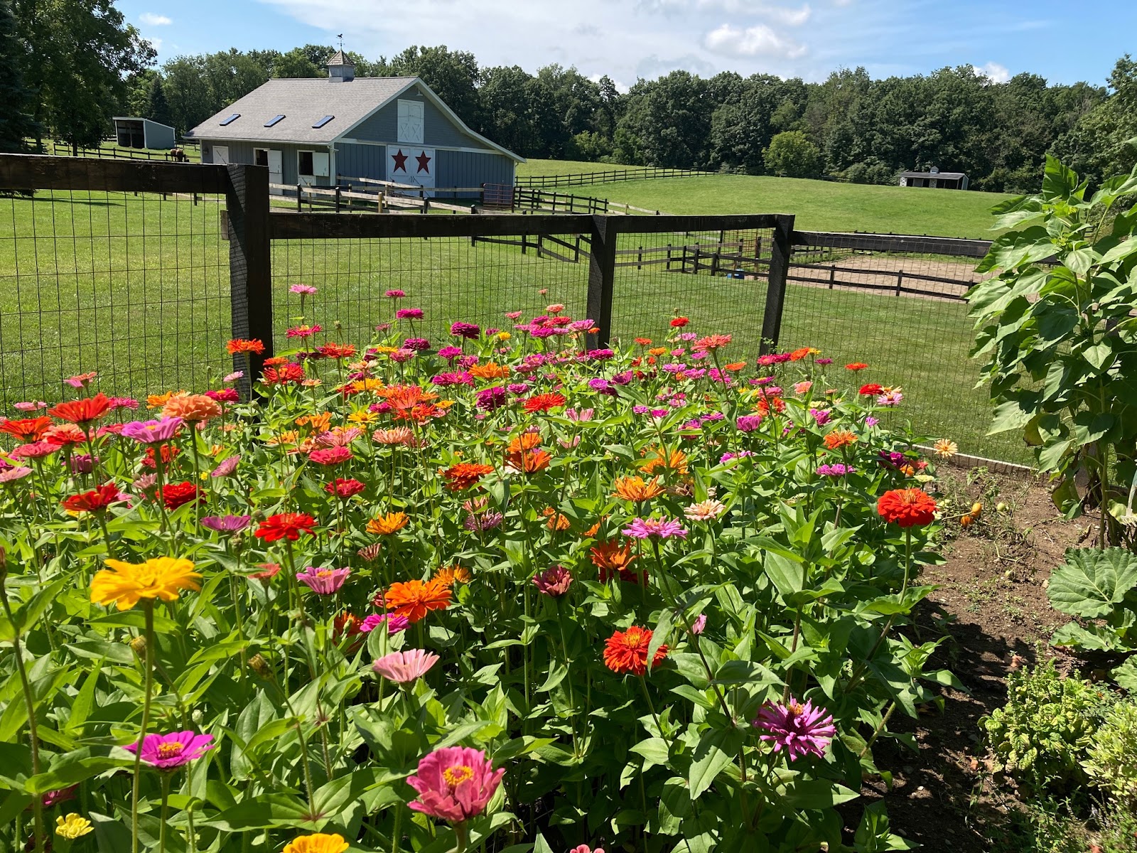 Tanglewood Assisted Living