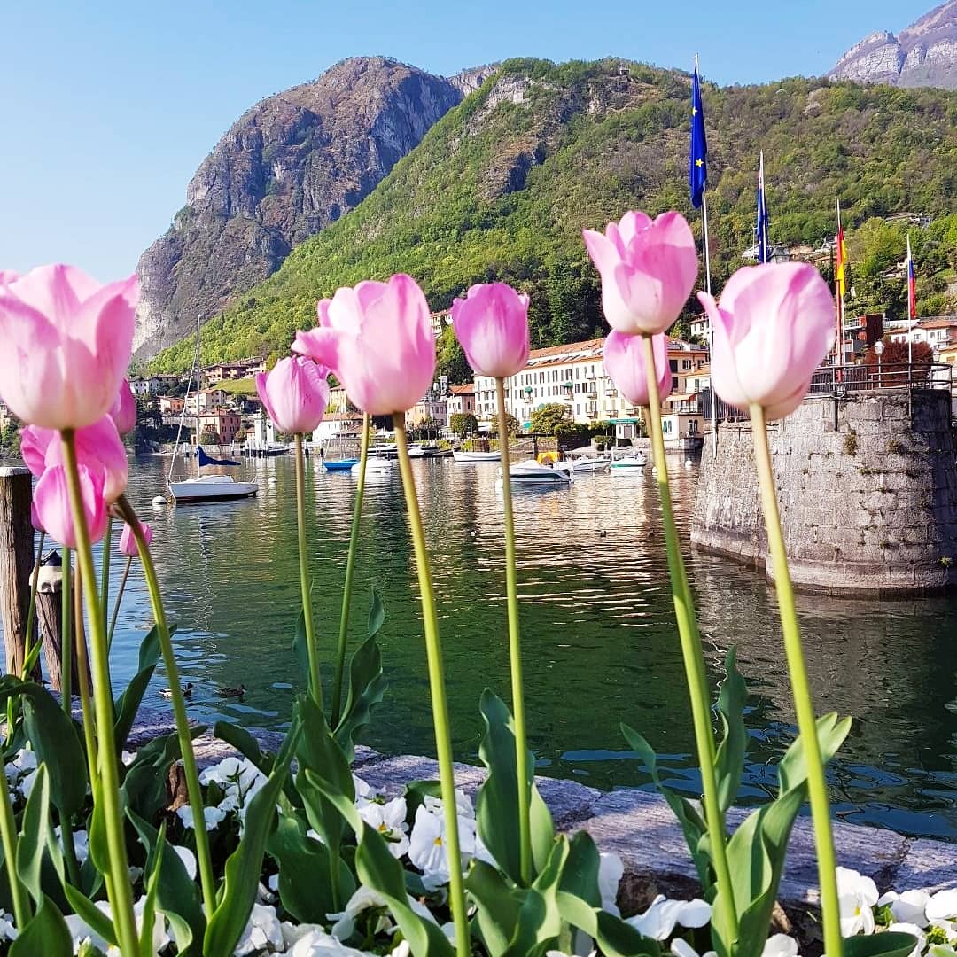 Lake Como Youth Hostel La Primula, Menaggio