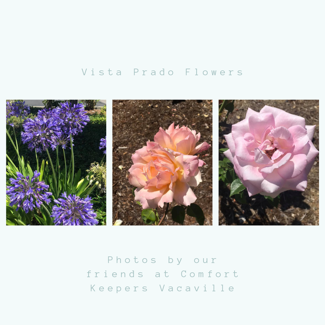 Vista Prado, A Memory Care Community