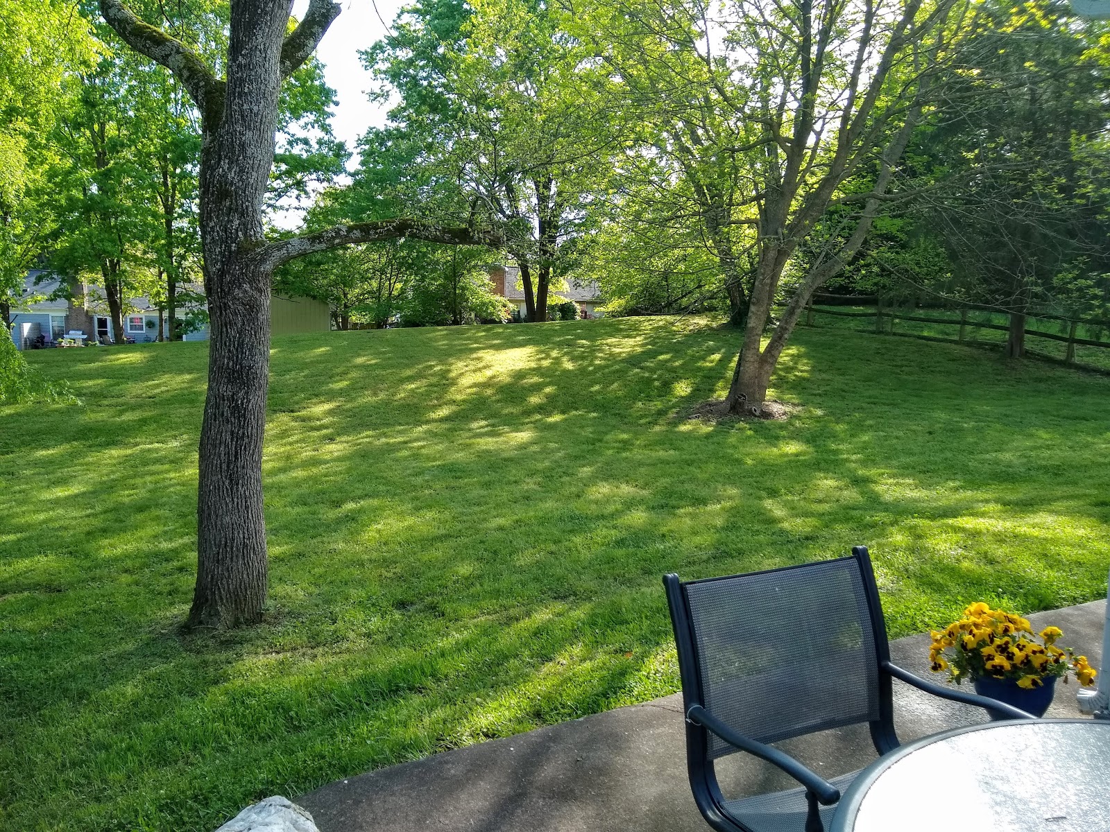 CoHomes Boutique Senior Living