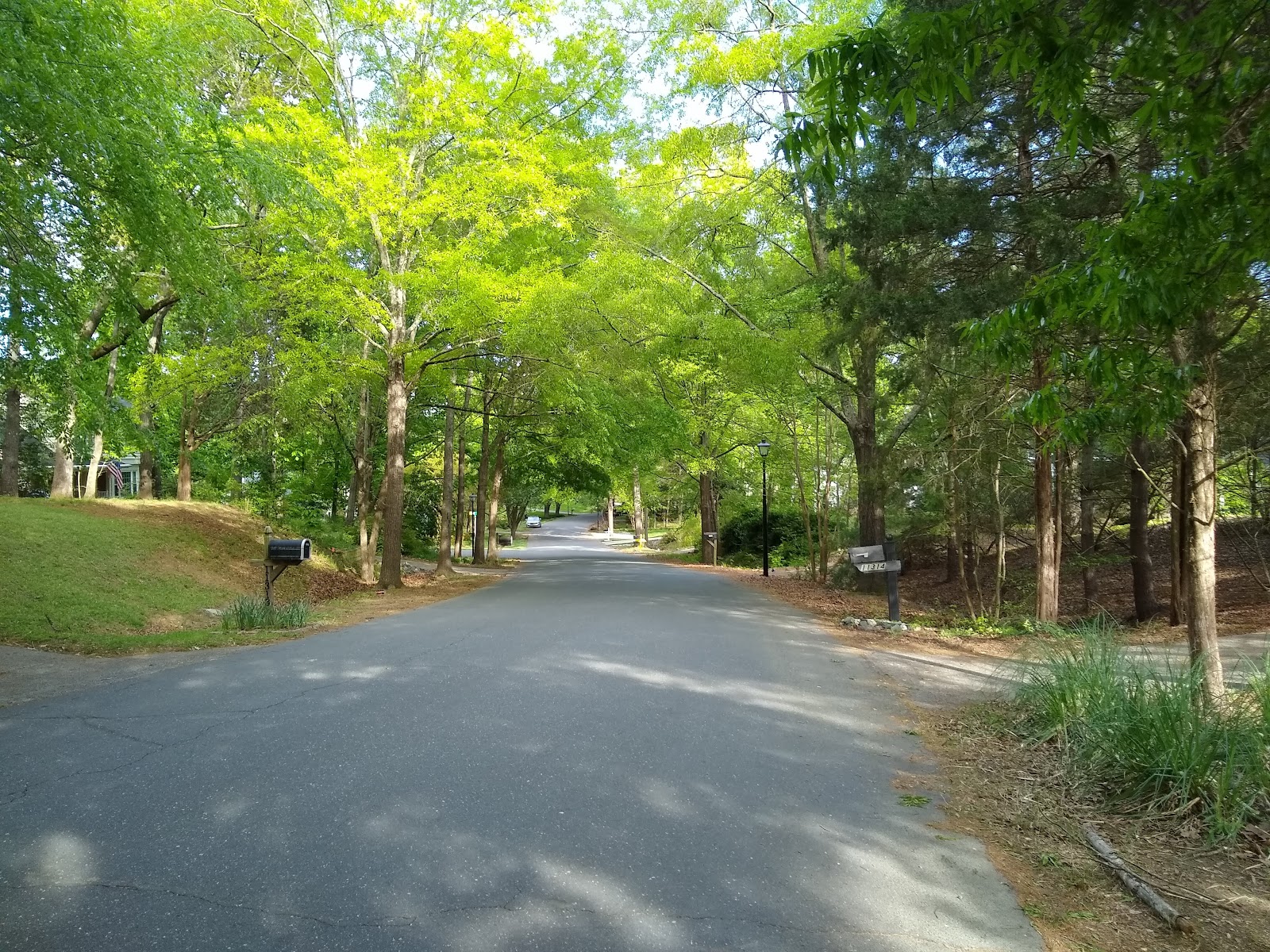 CoHomes Boutique Senior Living