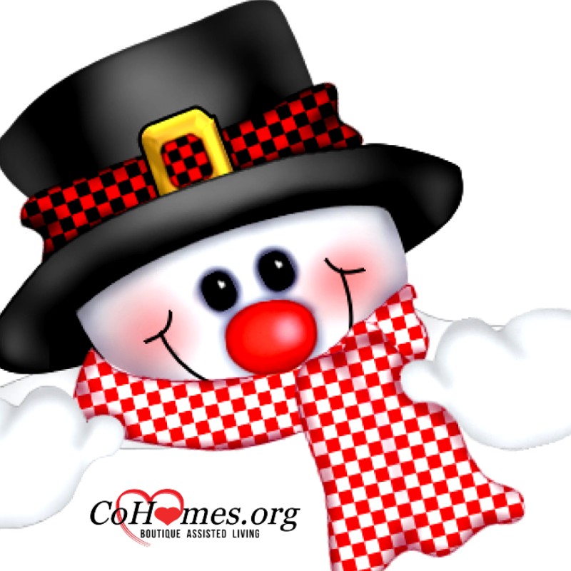 CoHomes Boutique Senior Living