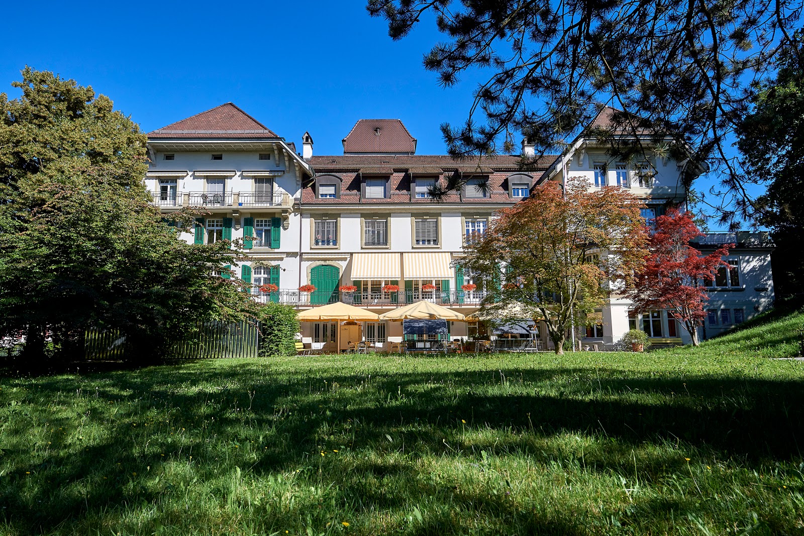 Domicil Kompetenzzentrum Demenz Wildermettpark