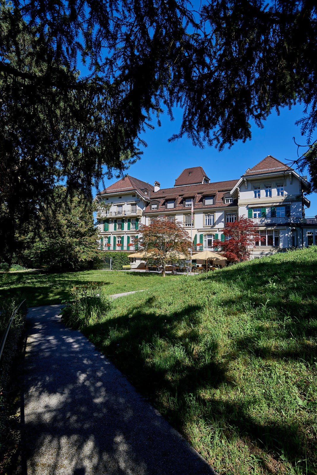 Domicil Kompetenzzentrum Demenz Wildermettpark