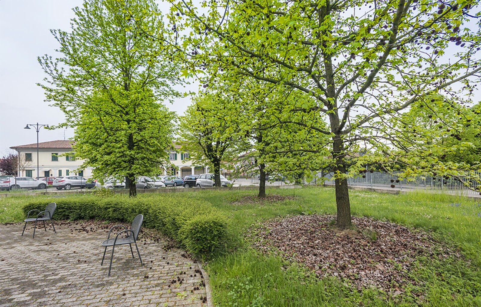 Casa di Riposo RSA Villa Antea Residenza per Anziani