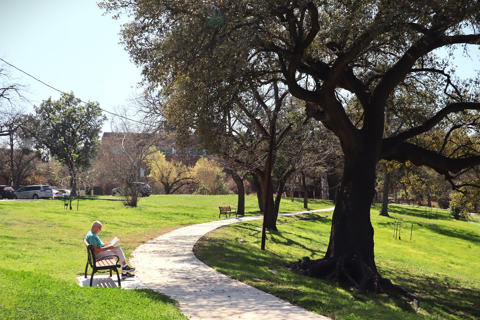 The Village at Incarnate Word