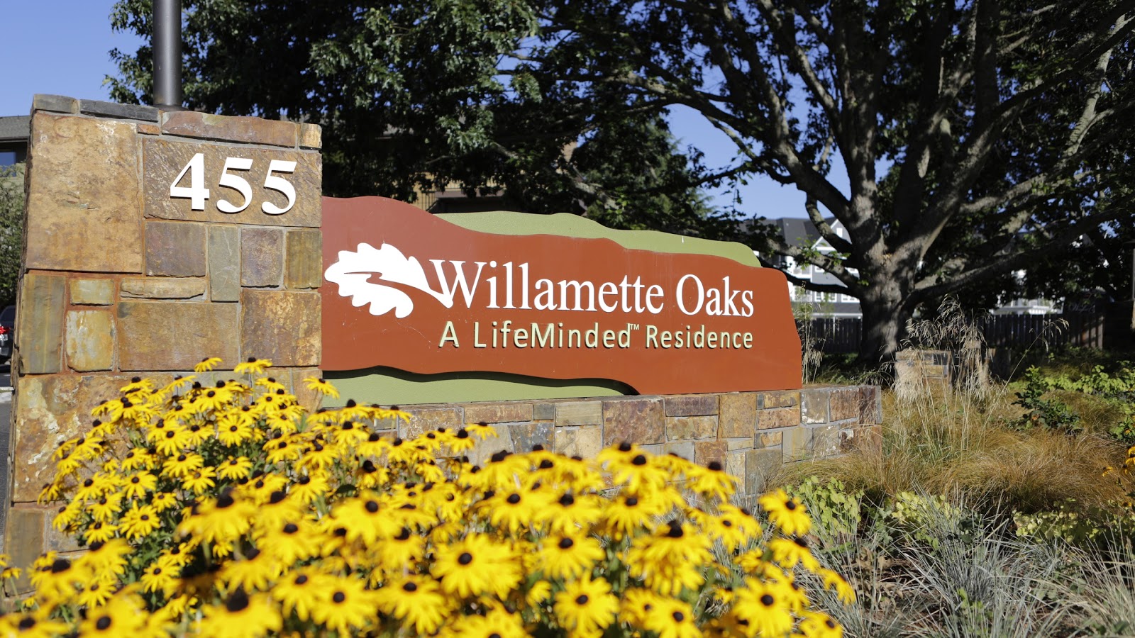 Willamette Oaks