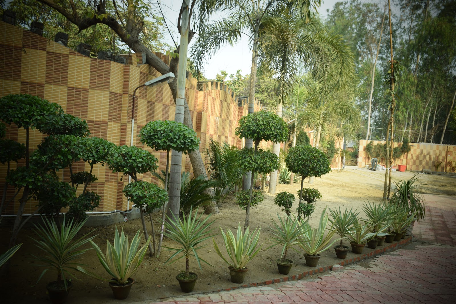 Aastha Health Resort Old Age Home Assisted Living